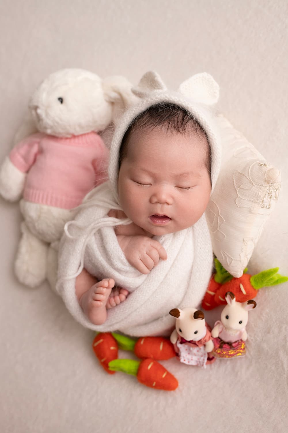 Little Bunny Newborn Dreams